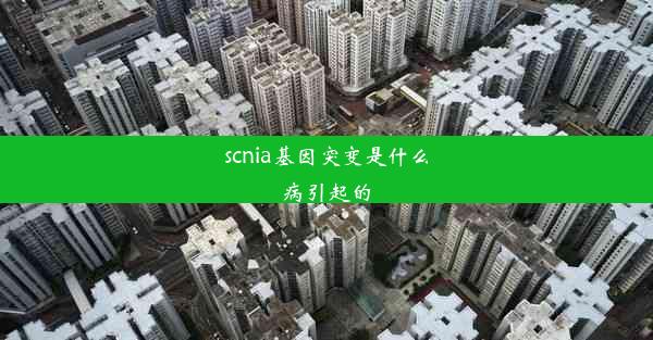 scnia基因突变是什么病引起的