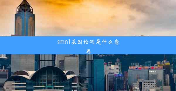 smn1基因检测是什么意思