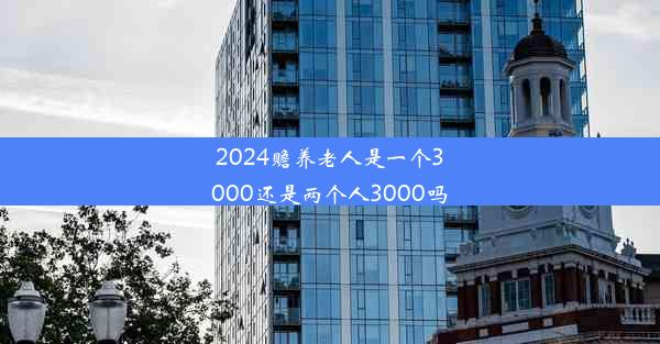 2024赡养老人是一个3000还是两个人3000吗