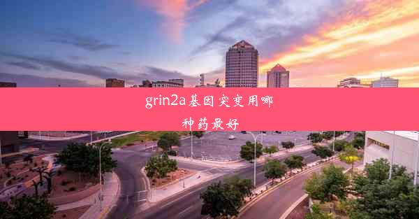 grin2a基因突变用哪种药最好