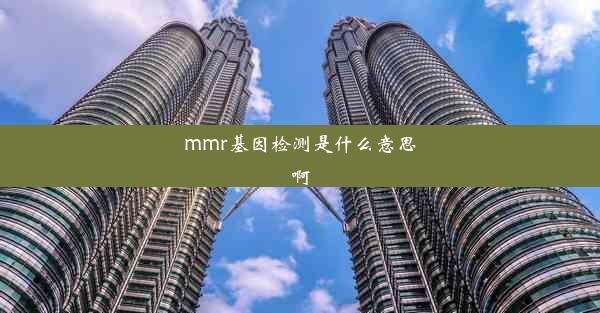 mmr基因检测是什么意思啊