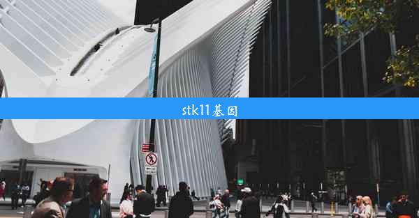 stk11基因