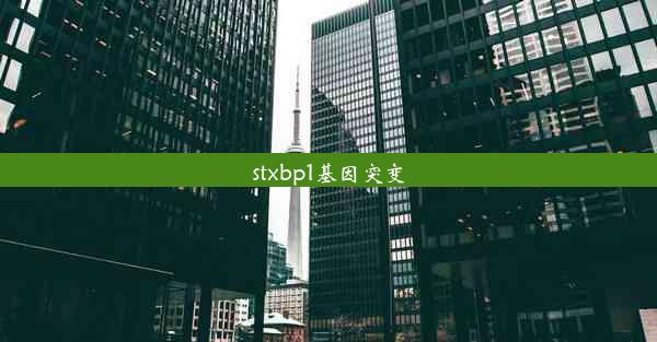 stxbp1基因突变