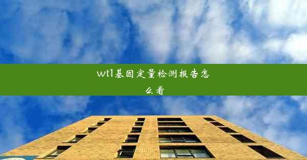 wt1基因定量检测报告怎么看