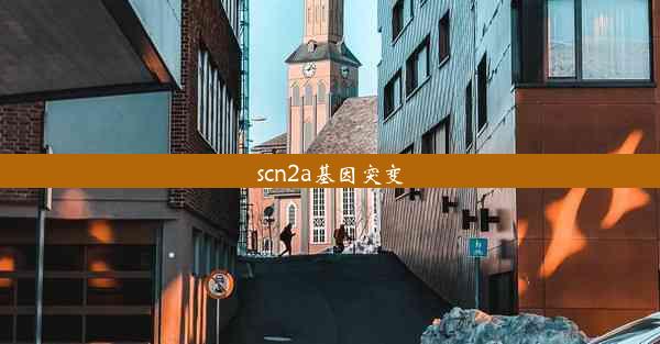 scn2a基因突变