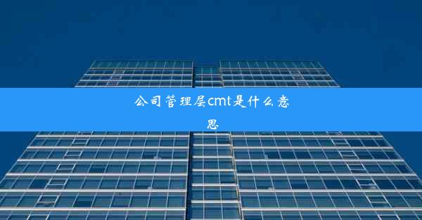 公司管理层cmt是什么意思