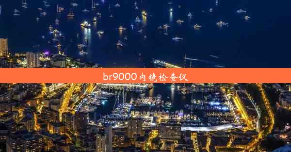 br9000内镜检查仪