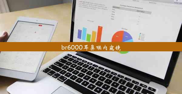 br6000耳鼻喉内窥镜