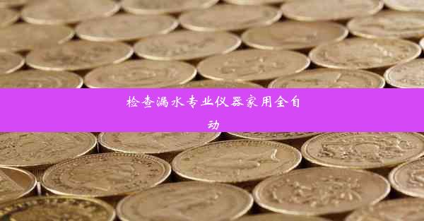 检查漏水专业仪器家用全自动