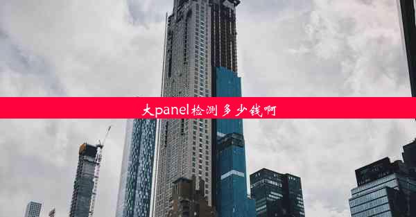 大panel检测多少钱啊