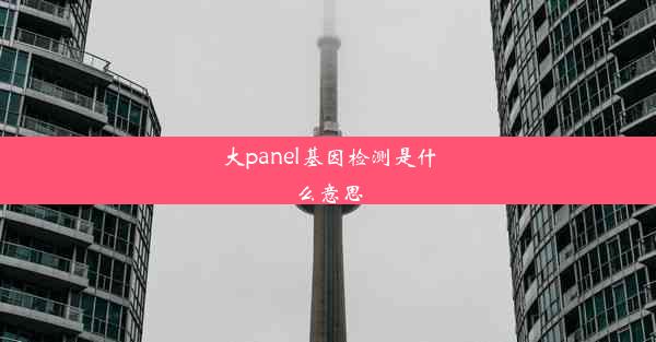 大panel基因检测是什么意思